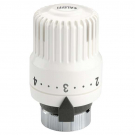 TERMOGLAVA CALEFFI 204000